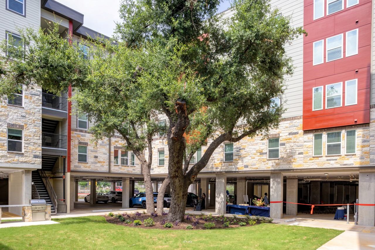 Saison North - Photo 6 of 27