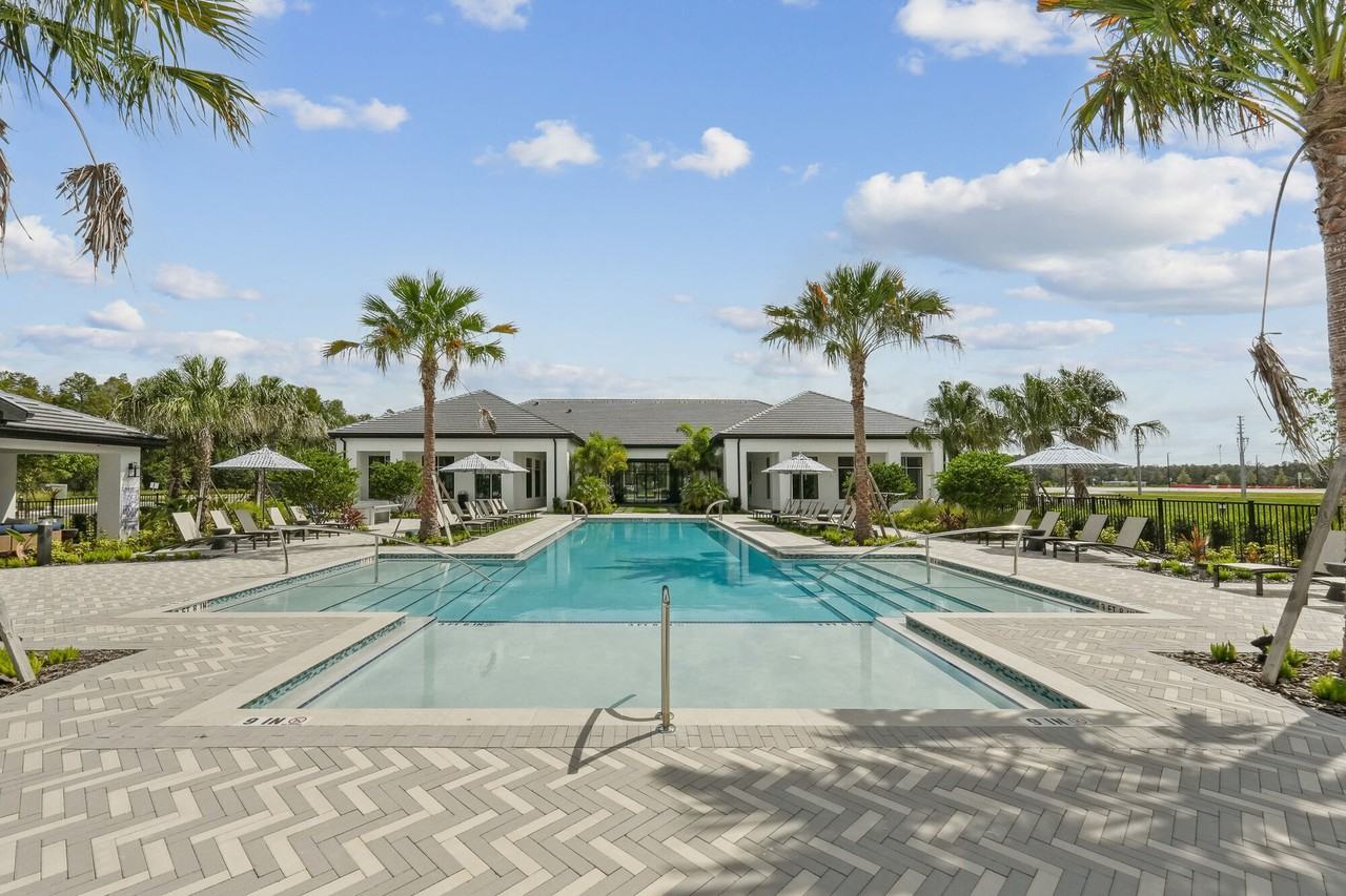 Ascend Angeline - Photo 5 of 51