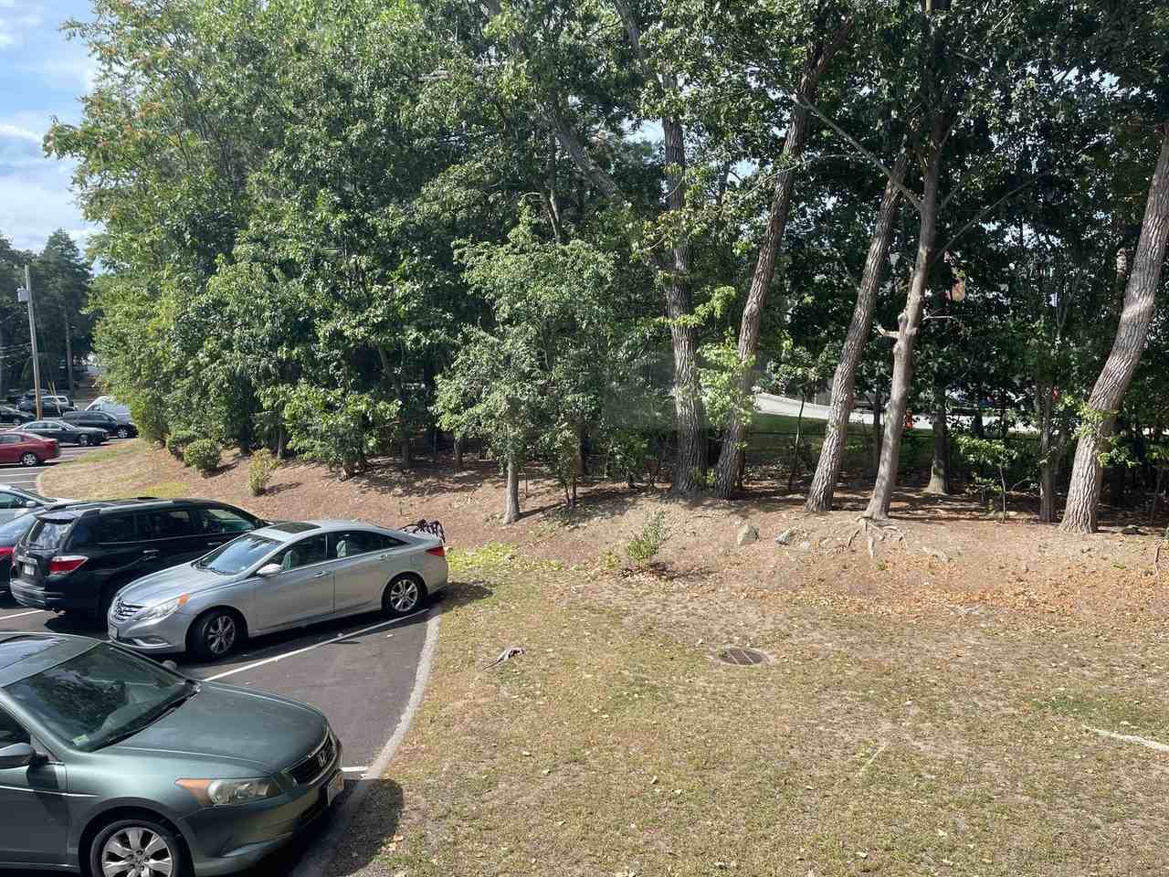 282 Grove St - Photo 2 of 9