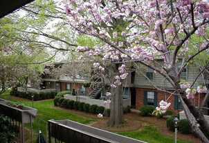 3824 Country Club Road - Photo 1 of 1