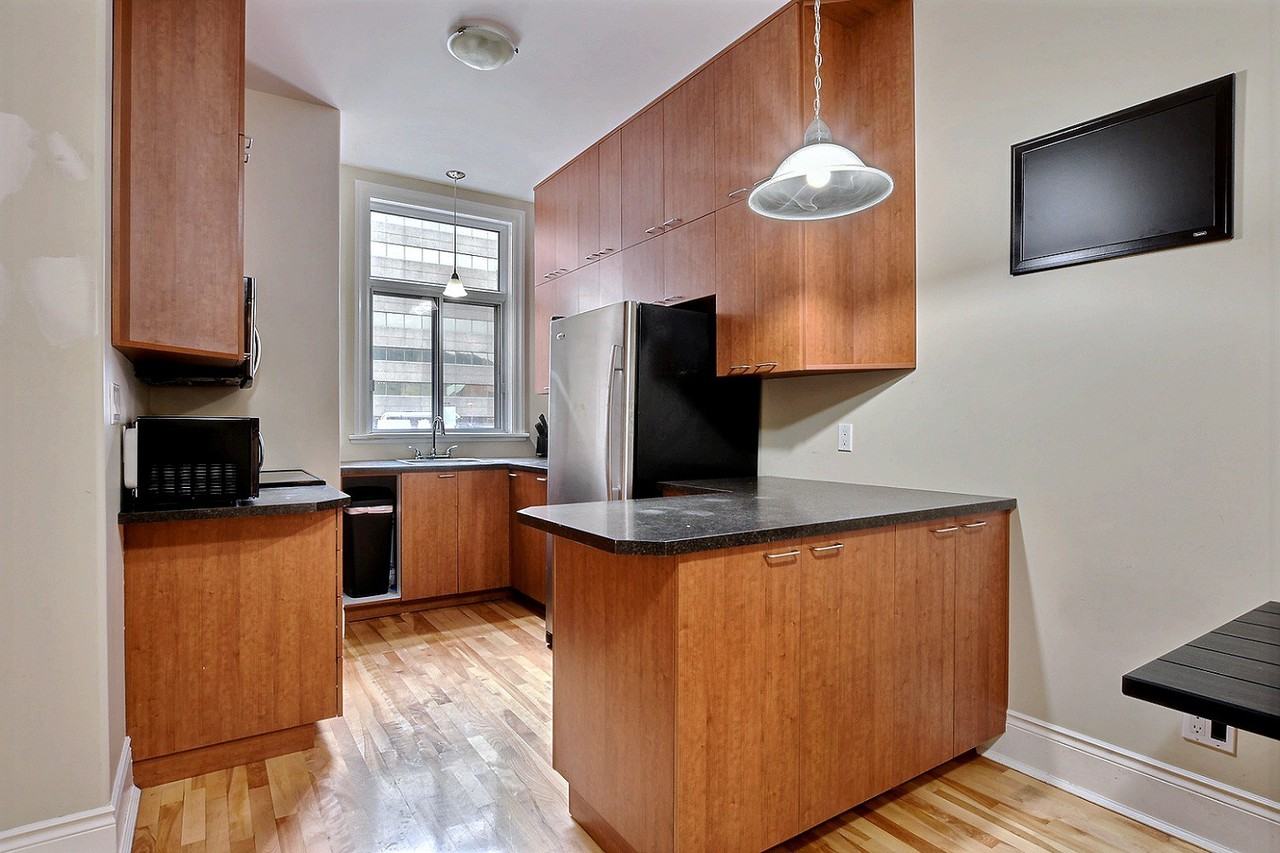 4237 Rue Saint-Urbain - Photo 4 of 8