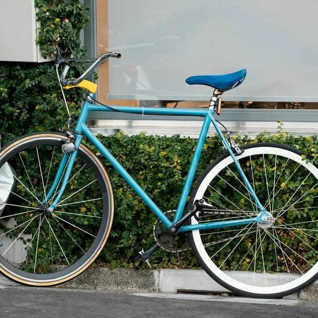 Maya at White Rock - Photo 7 of 49