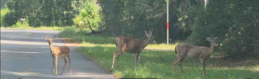 S Creek Dr - Photo 2 of 7