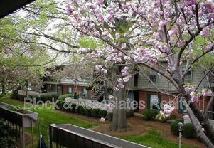 3824 Winston Boulevard - Photo 1 of 1