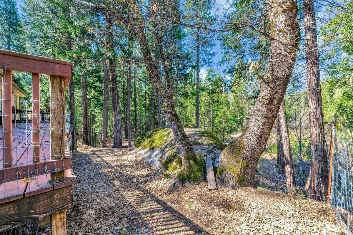 1312 Squaw Rock Trail - Photo 4 of 31