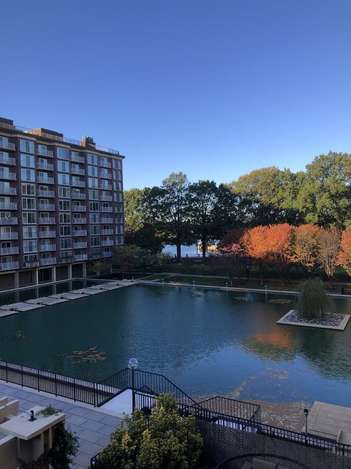 510 N St Sw #N318 - Photo 2 of 24