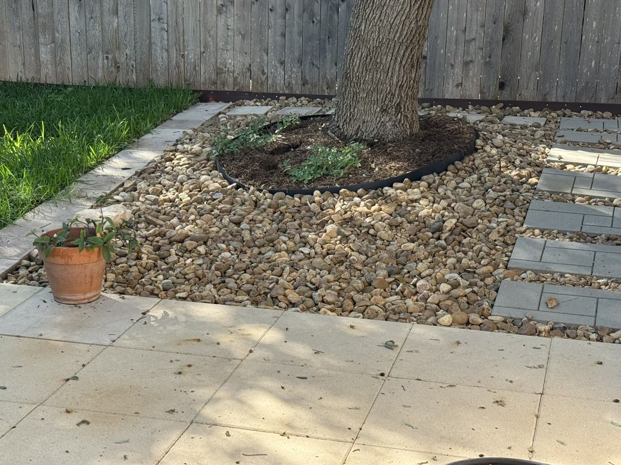 9538 Cloverdale #NA - Photo 7 of 50