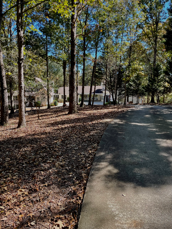 4438 Gillsville Highway - Photo 3 of 12