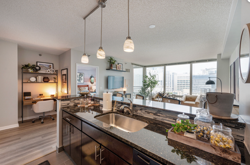 339 East Ohio Street - Photo 2 of 16