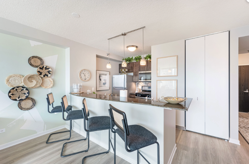 339 East Ohio Street - Photo 3 of 16