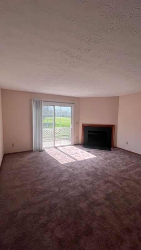 1318 Lane on the Lake - Photo 3 of 9
