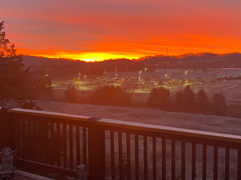 10390 Ivy Hollow Drive - Photo 2 of 18