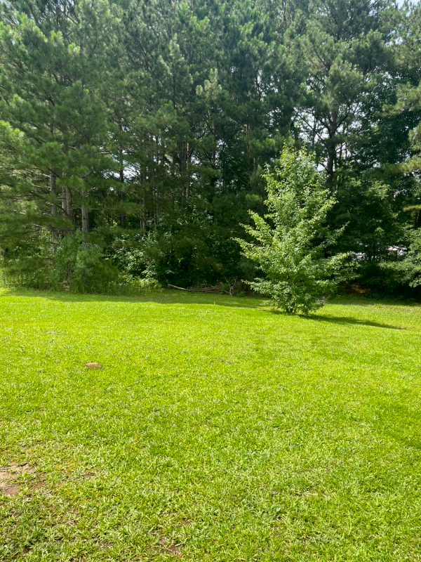 108 Jay Ln #B - Photo 6 of 6