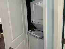 1537-41 Seybert - Photo 1 of 1