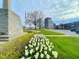 90 Glen Everest Road - Photo 1 of 1