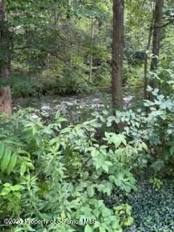 35 Keystone Rd Unit 4 #4MAPLE - Photo 4 of 10