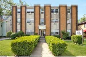 featured image of 377 Park Street