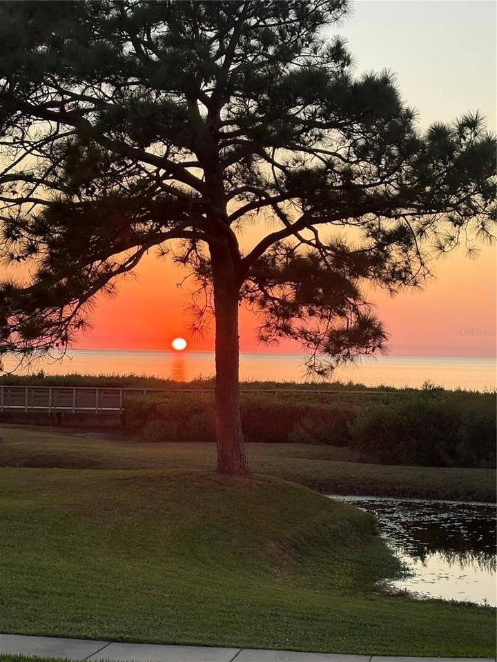 621 Windrush Bay Dr #621 - Photo 4 of 50