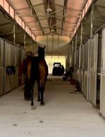 featured image of 14192 Ermine Owl Road