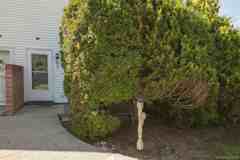 46 The Rise - Photo 1 of 1