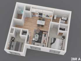 Salix on Vine - Photo 1 of 1