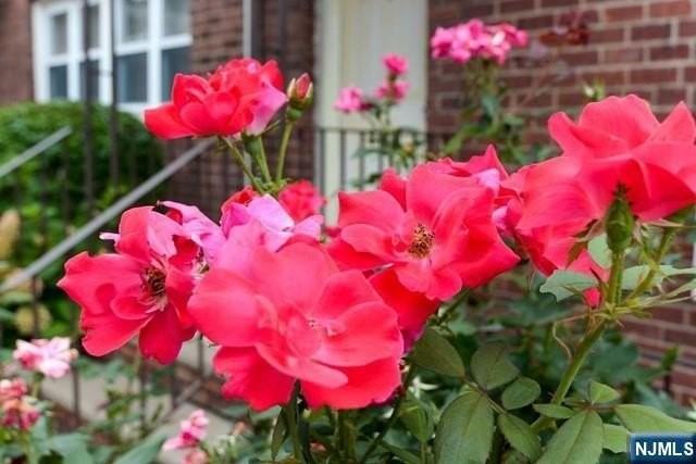 395 Park St - Photo 4 of 24