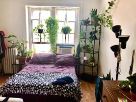 McTory - Photo 1 of 1