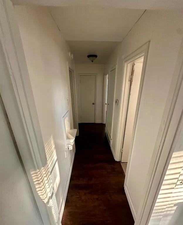 4855 Elena St - Photo 6 of 6