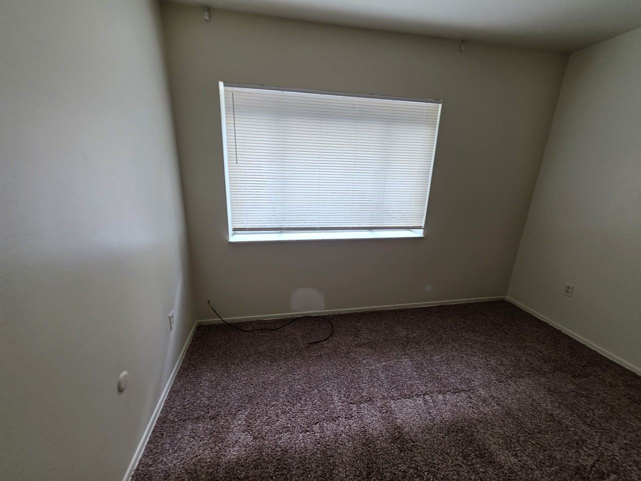 755 Palm Street - Photo 7 of 24