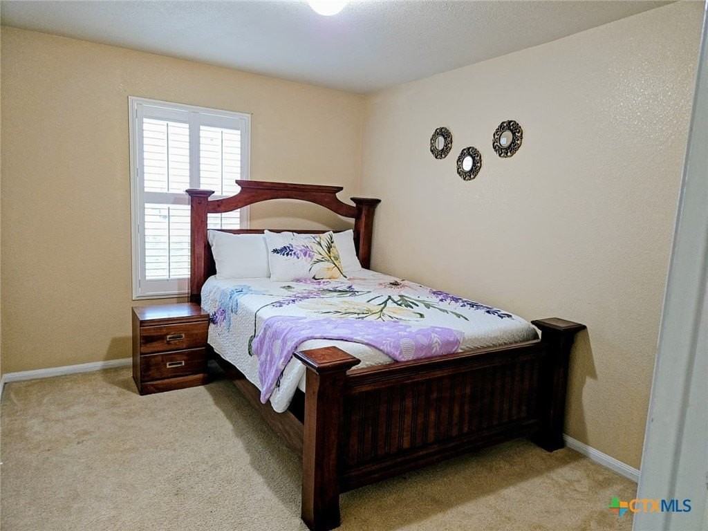 3403 Thunder Creek Dr - Photo 6 of 17