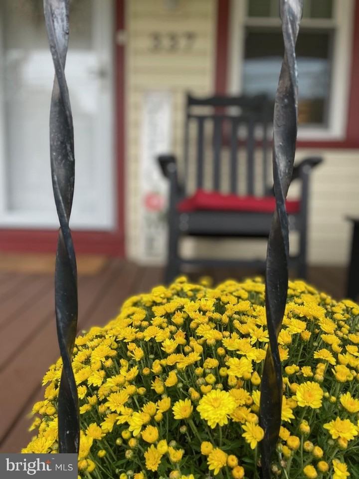 337 South Lincoln Avenue - Photo 5 of 35