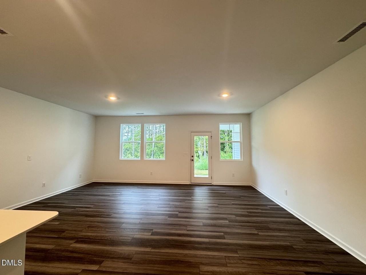 229 Lily Patch Lane - Photo 4 of 23