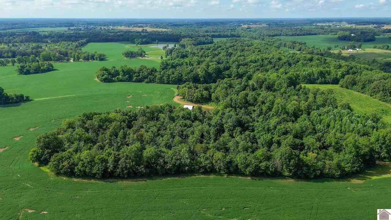 2500 Biggs Road - Photo 3 of 44