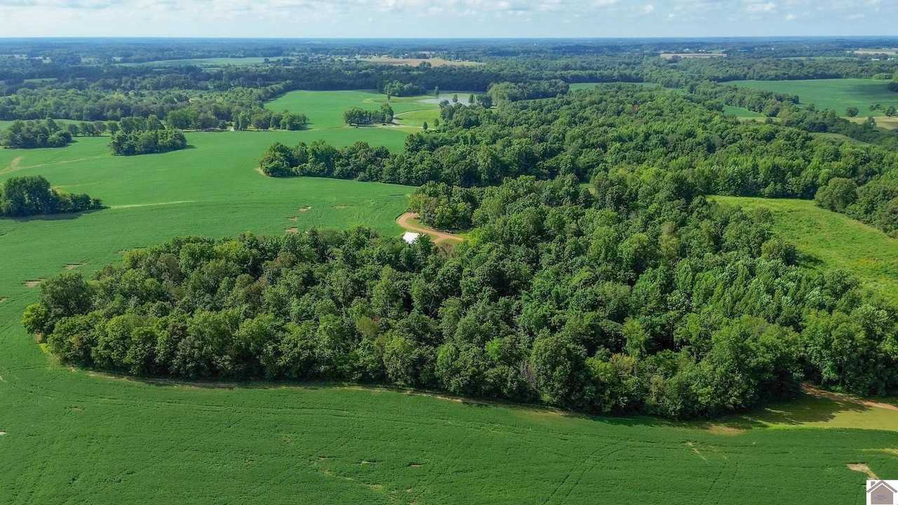 2500 Biggs Road - Photo 4 of 44