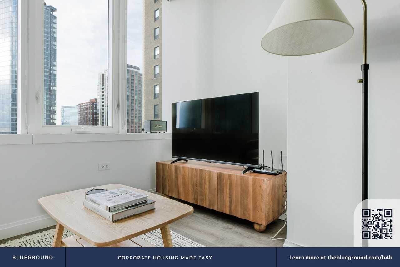 1000 South Michigan Avenue - Photo 5 of 39