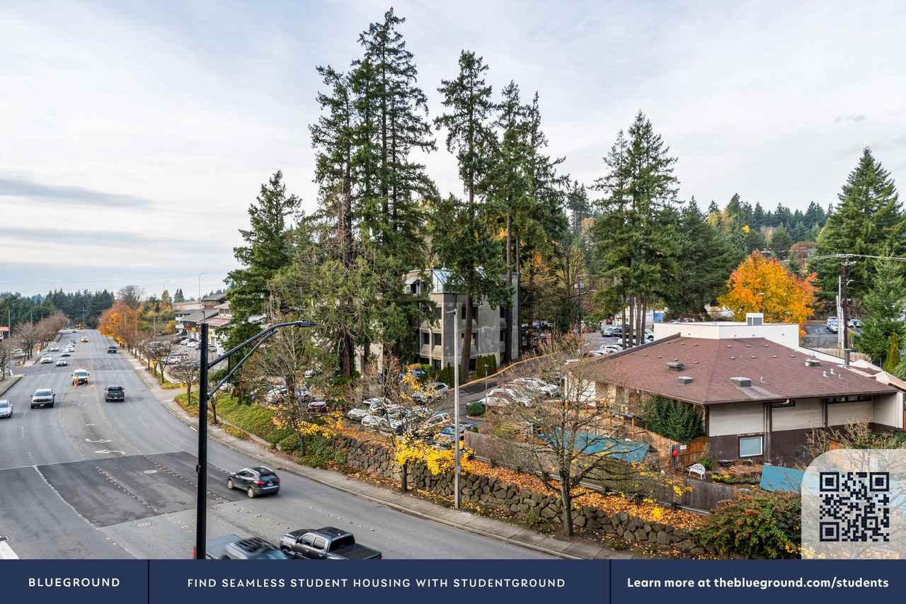 1955 129th Avenue Northeast - Photo 7 of 47