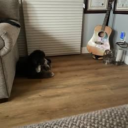 3875 Boone St - Photo 6 of 8