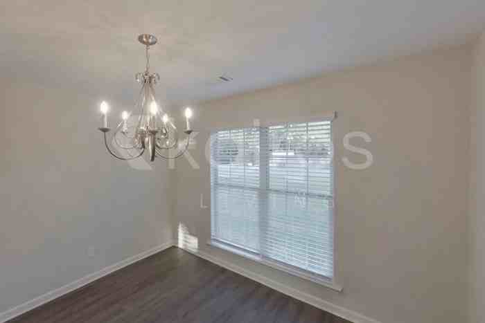 553 Mt Airy Dr - Photo 4 of 20