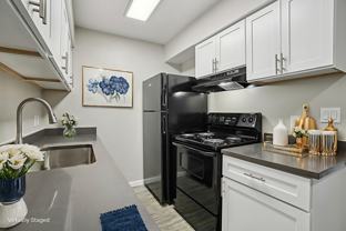 Astra - Photo 1 of 1