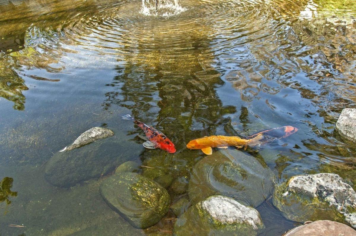 20700 El Toro Rd - Photo 5 of 24