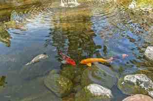 20700 El Toro Road - Photo 1 of 1