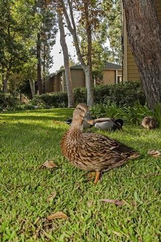 20700 El Toro Rd - Photo 3 of 24