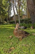 20700 El Toro Rd - Photo 1 of 1