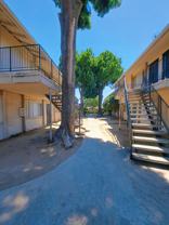 Las Flores - Photo 1 of 1