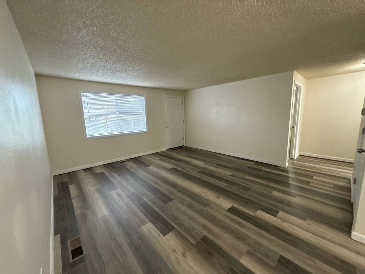 A_Clea1175 - Photo 4 of 8