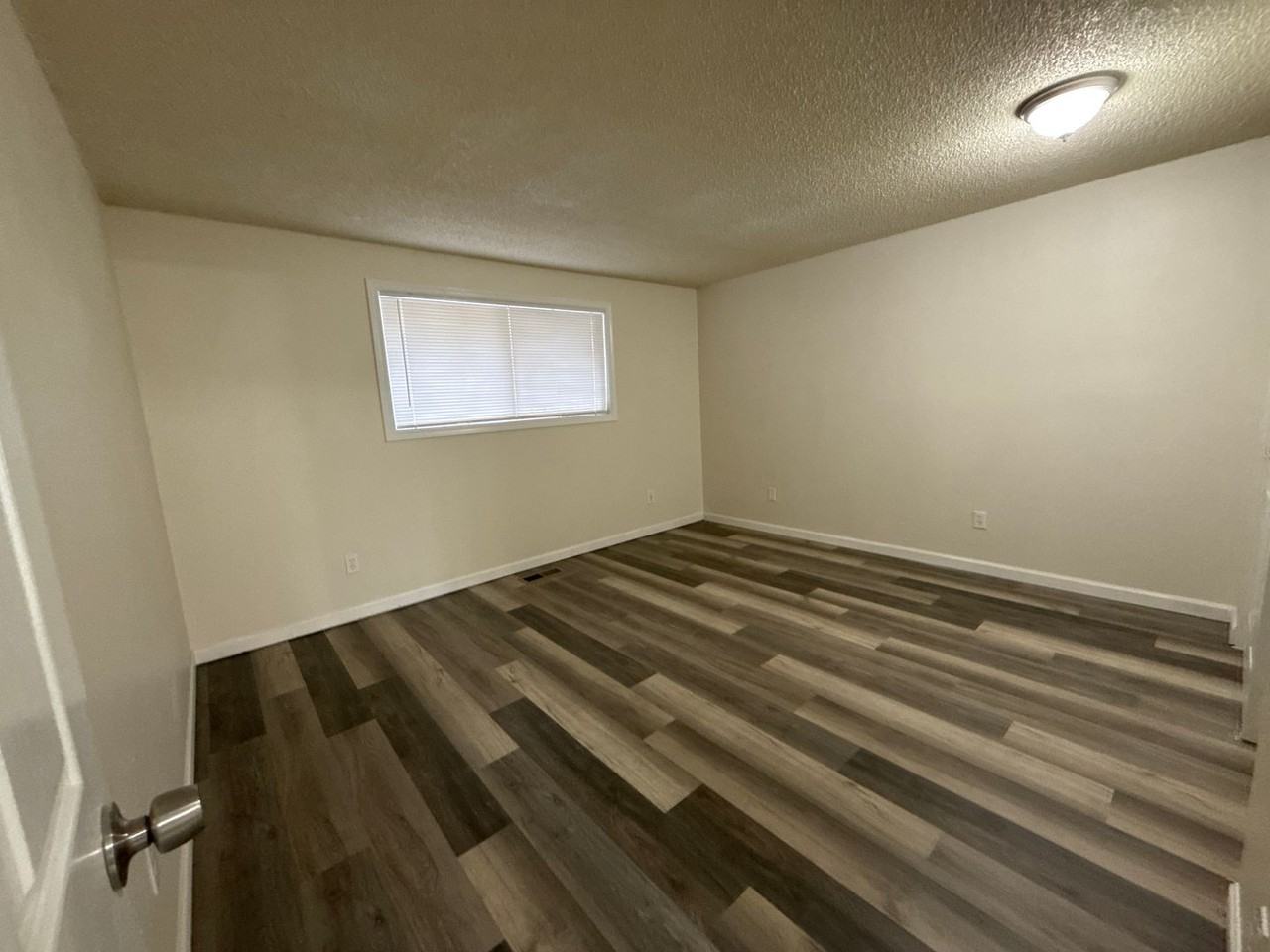 A_Clea1175 - Photo 5 of 8