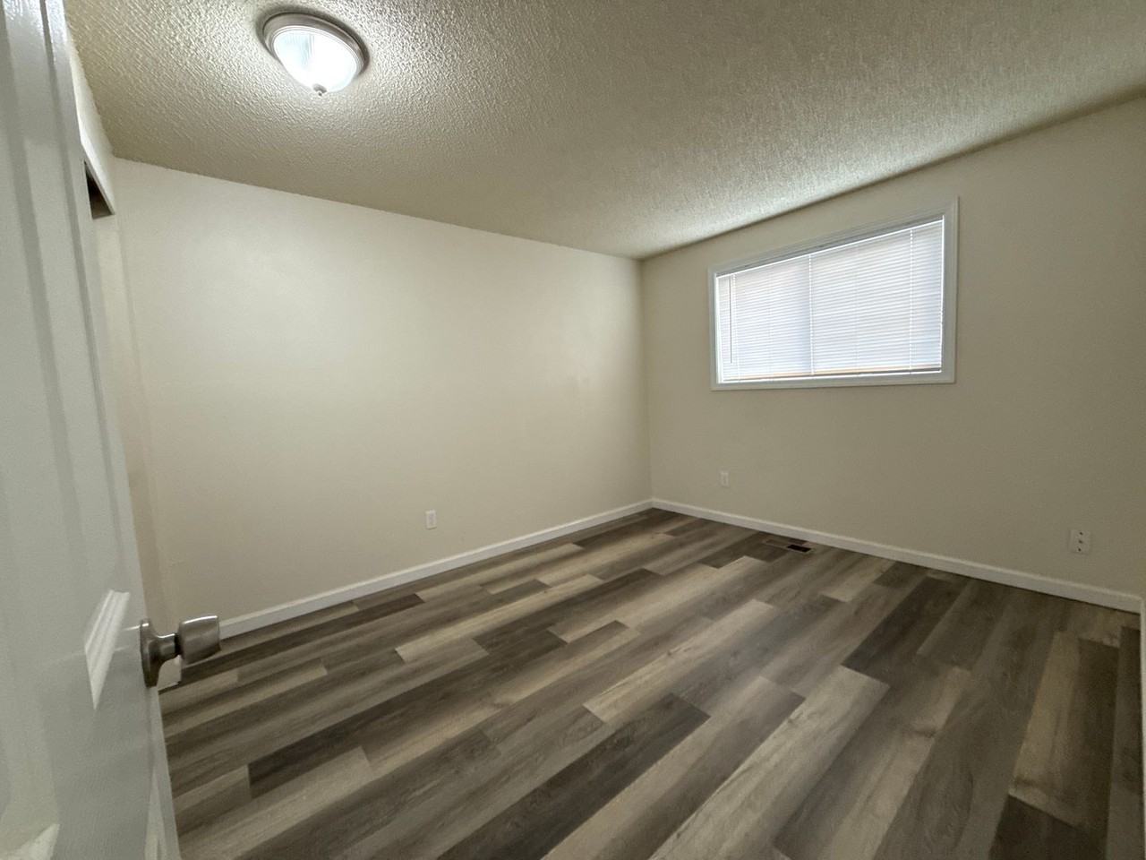 A_Clea1175 - Photo 6 of 8