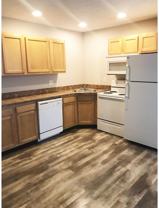 Lowell 550 - Photo 1 of 1