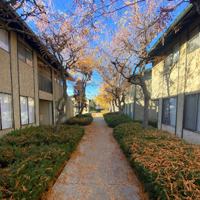 featured image of 1012 Cornell Avenue