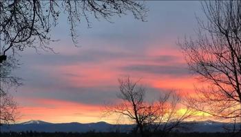 featured image of 728 Collyer Drive